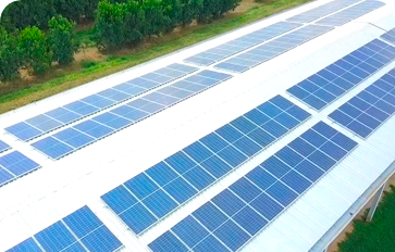 Projeto de energia solar para o agronegócio SegSun